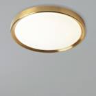 Ceiling Lights