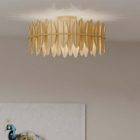 Ceiling Fixtures