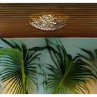 Ceiling Lights