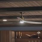 Ceiling Fans