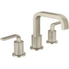 Cambium