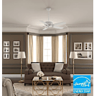 Energy Star Fans