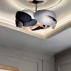 Ceiling Lights