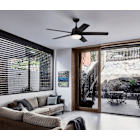 Ceiling Fans