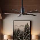 LED Fans