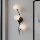 Wall Sconces