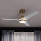 Ceiling Fans