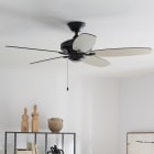 Ceiling Fans