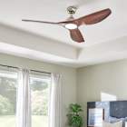 Shop All Designer Fans