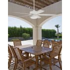 Outdoor Ceiling Fans