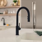 Kitchen Faucets