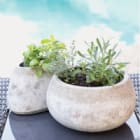 Garden Decor