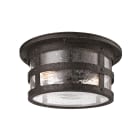 Outdoor Ceiling Fixtures