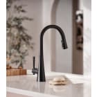 Kitchen Faucets