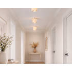 Ceiling Lights