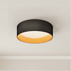 Ceiling Lights