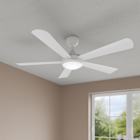 Ceiling Fans