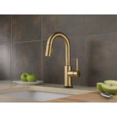 Delta-9959T-DST-Installed Faucet in Champagne Bronze