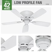 Hunter 51059 Ceiling Fan Details
