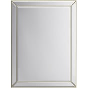 A and E Bath and Shower Gail 30" W x 40" H Rectangular Glass Framed Accent Mirror Gold