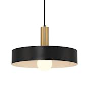 Access Lighting Slate 14" Wide Wood Pendant Black / Antique Brushed Brass