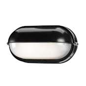 Access Lighting Single Light Down Lighting Outdoor Wall Sconce from the Nauticus Collection Black / Frosted