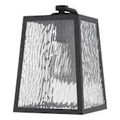 Acclaim Lighting Hirche Single Light 13" Tall Outdoor Wall Sconce Matte Black