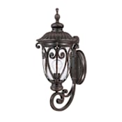 Acclaim Lighting Naples 1 Light 22.75" Height Outdoor Wall Sconce Marbleized Mahogany