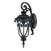 Acclaim Lighting Naples 1 Light Outdoor Wall Sconce with Hand-Blown Clear Seeded Glass Matte Black