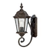 Acclaim Lighting Telfair 1 Light 20" Height Outdoor Wall Sconce Black Coral