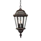 Acclaim Lighting Telfair 2 Light 20" Height Outdoor Pendant Black Coral
