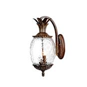 Acclaim Lighting 2 Light 18" Height Pineapple Outdoor Wall Sconce from the Lanai Collection Black Coral
