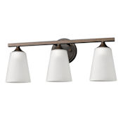 Acclaim Lighting Zoey 3 Light 20" Wide Bathroom Vanity Light with Etched White Glass Shades Oil Rubbed Bronze