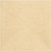 Ackland Westvale 24" x 24" Square Exterior Paver Tile - Matte Marble Visual - Sold by Pallet (256 SF/Pallet) Amande