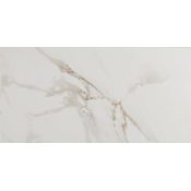 Ackland Astoria - 12" x 24" Porcelain Solid Floor Tile - Polished Visual, Stone Look - Sold by Carton (16 SF/Carton) Isla