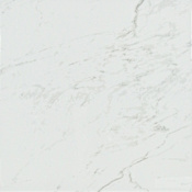 Ackland Astoria - 24" x 24" Porcelain Solid Floor and Wall Tile - Polished Visual, Stone Look - Sold by Carton (16 SF/Carton) Isla