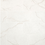 Ackland Beldale - 12" x 24" Porcelain Solid Floor and Wall Tile - Polished Visual - Sold by Carton (16 SF/Carton) Carmara