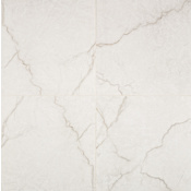 Ackland Beldale - 24" x 24" Porcelain Solid Floor and Wall Tile - Polished Visual - Sold by Pallet (640 SF/Pallet) Carmara