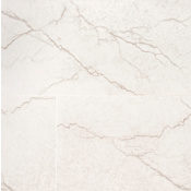 Ackland Beldale - 24" x 48" Porcelain Solid Floor and Wall Tile - Polished Visual - Sold by Carton (16 SF/Carton) Carmara