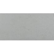 Ackland Betonica - 12" x 24" Porcelain Solid Floor and Wall Tile - Matte Visual - Sold by Pallet (640 SF/Pallet) Canvas