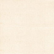 Ackland Betonica - 24" x 24" Porcelain Solid Floor and Wall Tile - Matte Visual - Sold by Carton (16 SF/Carton) Canvas