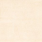 Ackland Betonica - 24" x 48" Porcelain Solid Floor and Wall Tile - Matte Visual - Sold by Carton (16 SF/Carton) Canvas