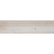 Ackland Gardenpark - 8" x 36" Porcelain Wood Look Solid Floor Tile - Matte Visual - Sold by Carton (14 SF/Carton) Chiffon Ash