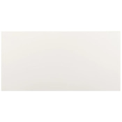 Ackland Segment - 12" x 24" Porcelain Solid Floor and Wall Tile - Polished Visual - Sold by Carton (11.64 SF/Carton) Blanc