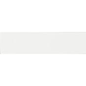 Ackland Segment 16" x 4" Polished Ceramic Thin-Set Tile Bullnose - Sold by Carton (26.67 LF/Carton) Blanc