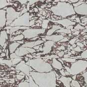 Ackland Ventara - 24" x 48" Porcelain Solid Floor and Wall Tile - Polished Visual, Stone Look - Sold by Carton (16 SF/Carton) Amarith