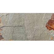 Ackland 12" x 24" Stone Solid Floor and Wall Tile - Textured Visual - Sold by Carton (10 SF/Carton) Sierra Gold