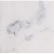 Ackland 12" x 12" Marble Solid Floor and Wall Tile - Polished Visual - Sold by Pallet (360 SF/Pallet) Calacatta Gold