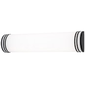 AFX Palmer 24" Wide LED Bath Bar Black
