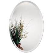 Alno Mirrors 24" W x 36" H Oval Frameless Bathroom Wall Mirror N/A